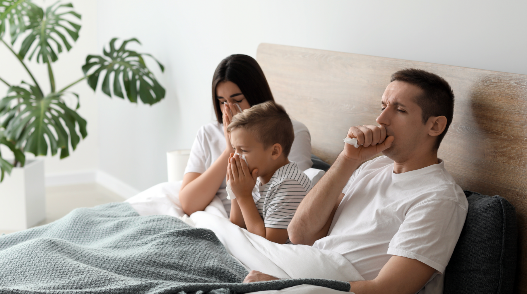 Influenza A Vs. Influenza B: What Are The Differences? – Aussie Pharma ...