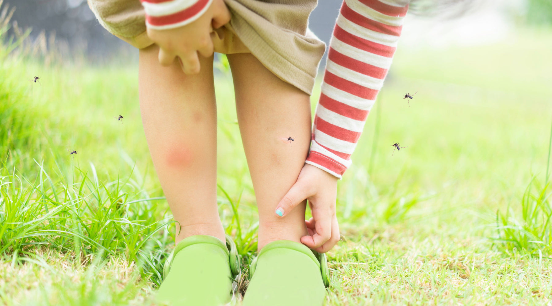 Choosing Family Safe DEET Free Insect Repellents Aussie Pharma Direct   Shutterstock 1105211207 